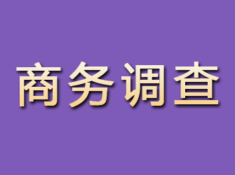 沈阳商务调查